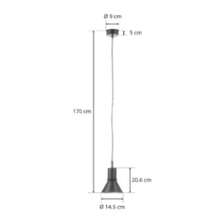 Anglepoise Type 80 Hängeleuchte, mattschwarz