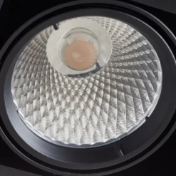 Arcchio Cirdan LED-Deckenlampe, 2-flammig, schwarz
