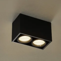 Arcchio Cirdan LED-Deckenlampe, 2-flammig, schwarz