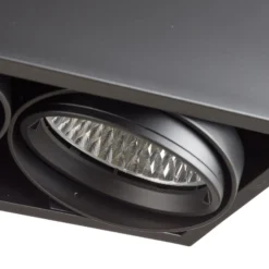 Arcchio Cirdan LED-Deckenlampe, 2-flammig, schwarz