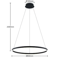 Arcchio LED-Hängeleuchte Albiona, schwarz, 1 Ring, Ø 80 cm