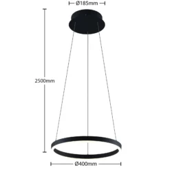 Arcchio LED-Hängeleuchte Albiona, schwarz, 1 Ring, Ø 40 cm