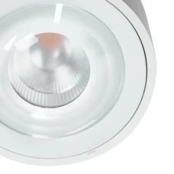 Arcchio Rotari LED-Deckenlampe, Linse, 1-fl. starr