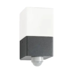 Außenwandleuchte Linus, grafit, Sensor, Edelstahl, Glas, E27