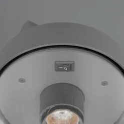 Außenwandleuchte Sambesi, Holzoptik, Dämmerungssensor, Alu