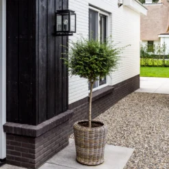 Außenwandleuchte Vecht mit Bewegungssensor