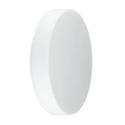 BEGA 50651 LED-Deckenleuchte Opalglas 3.000K Ø34cm
