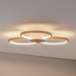BEGA LED-Deckenleuchte 51299.4, samtmessing, Metall, DALI