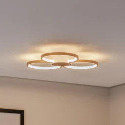BEGA LED-Deckenleuchte 51299.4, samtmessing, Metall, DALI