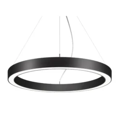 BRUMBERG Biro Circle Ring10 direkt CCT DALI Ø 45 cm, schwarz
