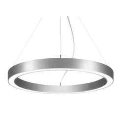 BRUMBERG Biro Circle Ring10 direkt CCT DALI, Ø 45 cm, silber