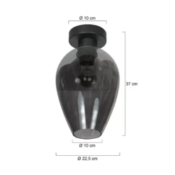 Deckenlampe Bloeba, schwarz/rauchgrau, Ø 22 cm, Glas Tropfen