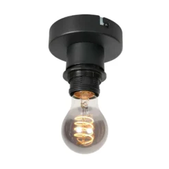 Deckenlampe Bloeba, schwarz/rauchgrau, Ø 15 cm, Glas Tropfen
