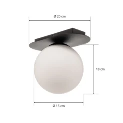 Deckenlampe Plaza, schwarz/opal, einflammig