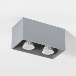 Deckenleuchte Ara Maxi aus Aluminium 2fl. grau