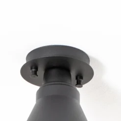 Deckenleuchte Berceste N-676, schwarz/gold, Metall, Ø 20 cm