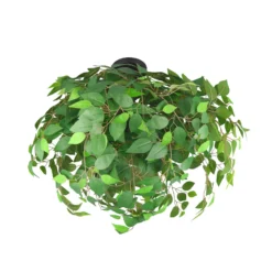 Deckenleuchte Leavy, schwarz/grün, Ø 70 cm, E14, 3-flammig