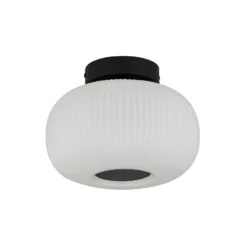 Deckenleuchte Lumina aus gefrostetem Glas
