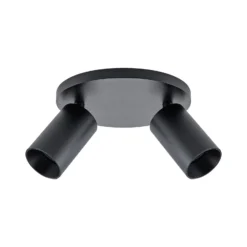 Deckenspot CAN TILT, schwarz, Ø 20 cm, 2-flammig Metall GU10