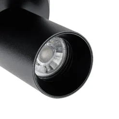 Deckenspot CAN TILT, schwarz, Ø 20 cm, 2-flammig Metall GU10