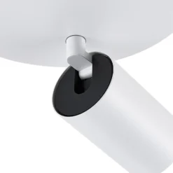 Deckenspot CAN TILT, weiß, Ø 20 cm, 2-flammig, Metall, GU10