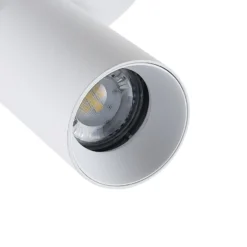Deckenspot CAN TILT, weiß, Ø 20 cm, 2-flammig, Metall, GU10