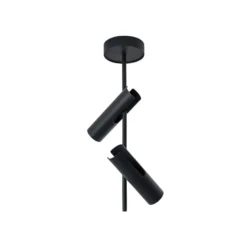 Deckenspot Leda 2, anthrazit, 2-flammig, Stahl, Höhe 55 cm