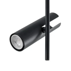 Deckenspot Leda 2, anthrazit, 2-flammig, Stahl, Höhe 55 cm