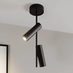 Deckenspot Leda 2, zweiflammig, schwarz