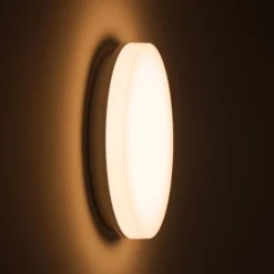 DOTLUX LED-Deckenlampe SURFACE, Ø 25 cm, weiß, PC, CCT, IP54