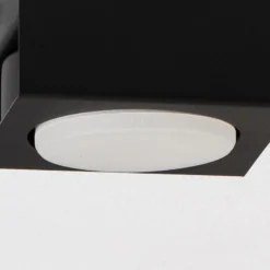 Downlight Ian in Schwarz, einflammig