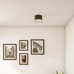 Downlight Point S, schwarz/weiß/schwarz