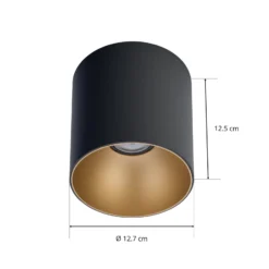 Downlight Point Tone, schwarz/gold