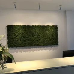Egger DLS LED-Strahler Zooom XL, Aufbaugehäuse, 3.000K chrom