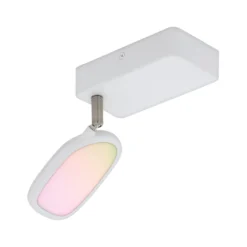 EGLO connect Palombare-C LED-Deckenspot 1flg.