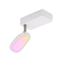 EGLO connect Palombare-C LED-Deckenspot 1flg.