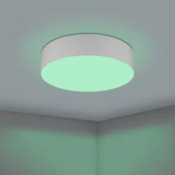 EGLO connect Romao-Z LED-Deckenlampe, Ø57cm, grau