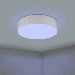 EGLO connect Romao-Z LED-Deckenlampe, Ø57cm, grau