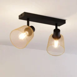 EGLO Coslada Deckenstrahler, zweiflammig