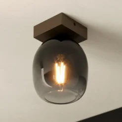 EGLO Filago Deckenleuchte aus Rauchglas einflammig