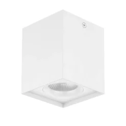 EVN Kardanus LED-Deckenleuchte, 9x9cm, weiß