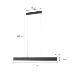 Helestra Nex LED-Pendelleuchte schwarz matt