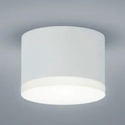 Helestra Pala - LED-Aufbau-Downlight, weiß