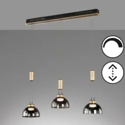 Hängeleuchte Avignon 3-flg. Rauchglas/schwarz/gold