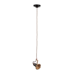 Hängeleuchte C1660/1 mit Käfig, schwarz