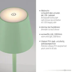 JUST LIGHT. LED-Akku-Tischleuchte Euria, grün, Eisen, IP54