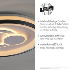 JUST LIGHT. LED-Deckenleuchte Minelli, Ø 50 cm, dimmbar