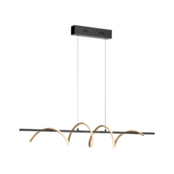 JUST LIGHT. LED-Hängeleuchte Emanda, Eisen, schwarz-messing