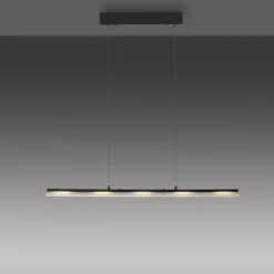 JUST LIGHT. LED-Hängeleuchte Nele, schwarz, Eisen, Glas