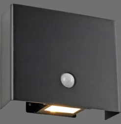 JUST LIGHT. LED-Sensor-Außenwandlampe Amin, Akku schwarz Alu